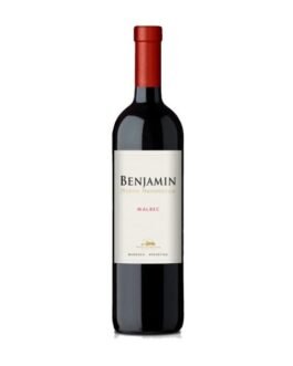 Benjamin Nieto Senetiner Tempranillo 750 ML