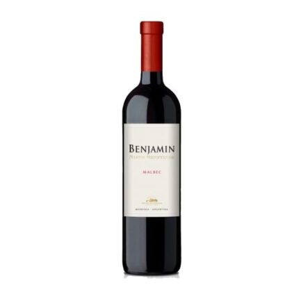 Benjamin Nieto Senetiner Tempranillo 750 ML